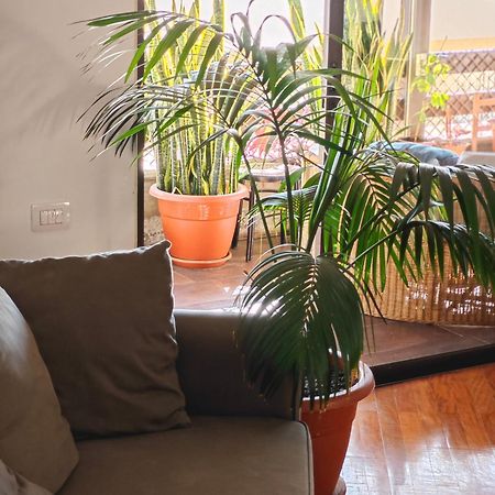 Casa Compartida Weyler Bed & Breakfast Santa Cruz de Tenerife Exterior photo