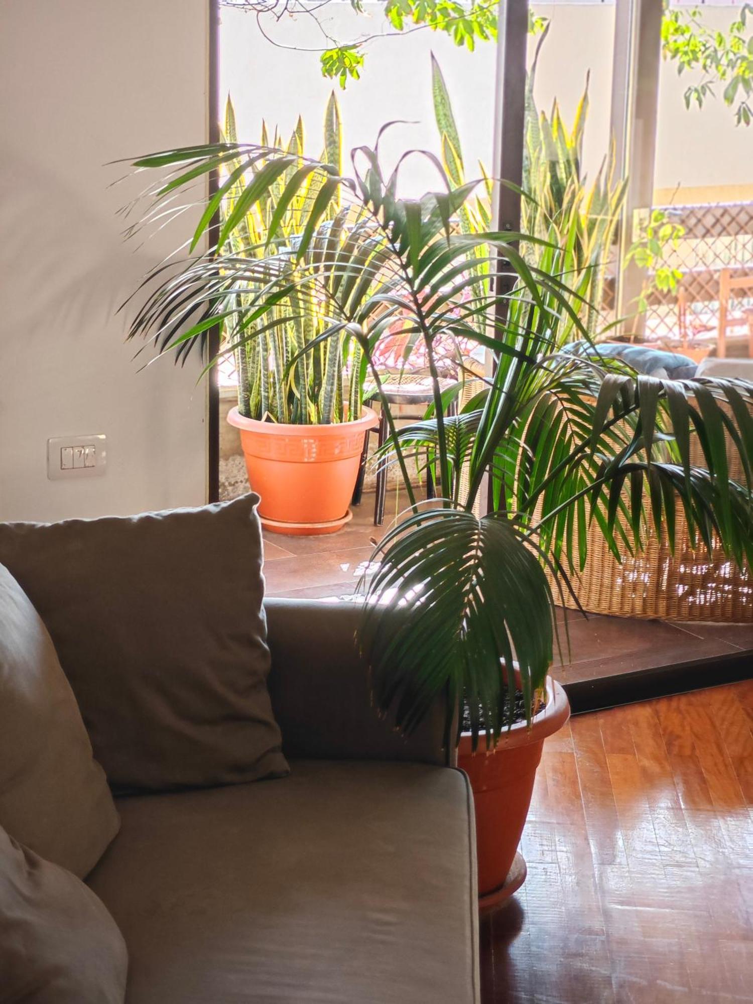 Casa Compartida Weyler Bed & Breakfast Santa Cruz de Tenerife Exterior photo